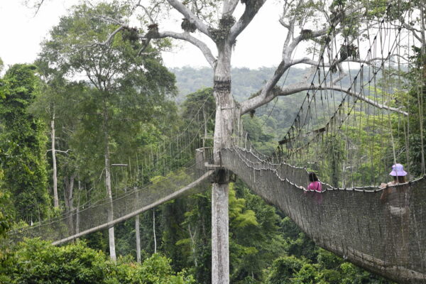 Kakum National Park Canopy Walk